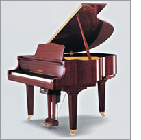 Disklavier Mark III Series - DGB1CD