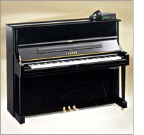 Disklavier Mark III Series - DU1A
