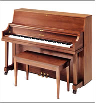 Yamaha P22